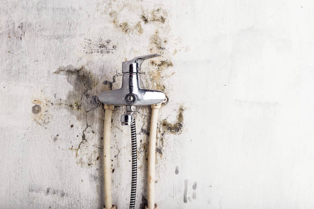 Best Water Damage Restoration  in Decatur, TN