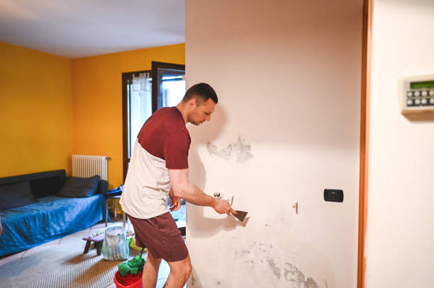 Office Mold Removal Services in Decatur, TN